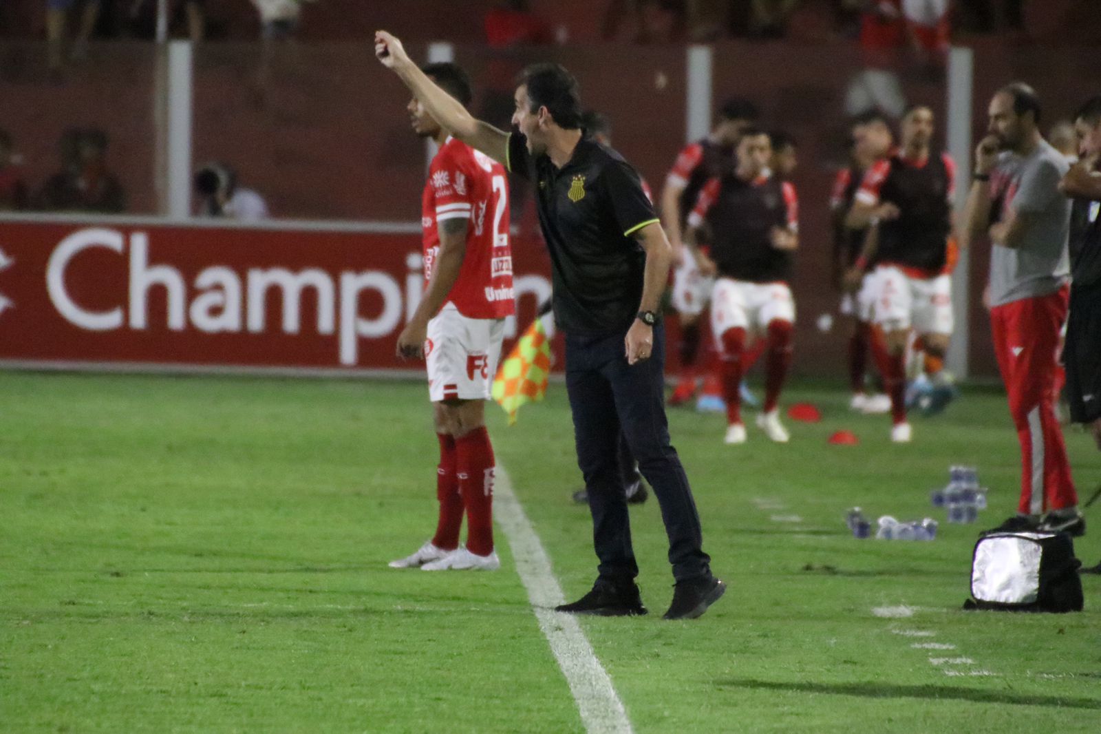 Importância destacada
