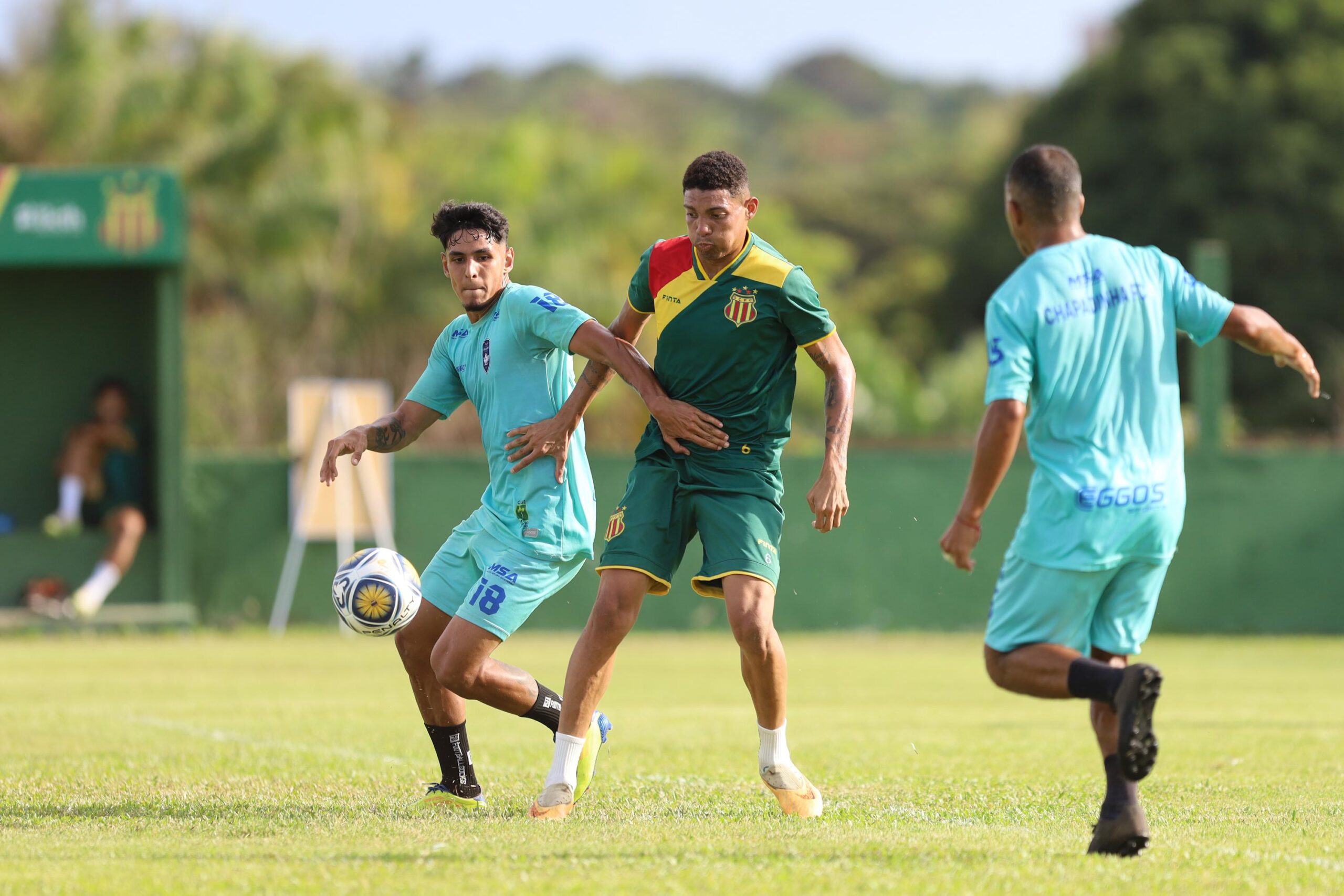Tricolor em ação