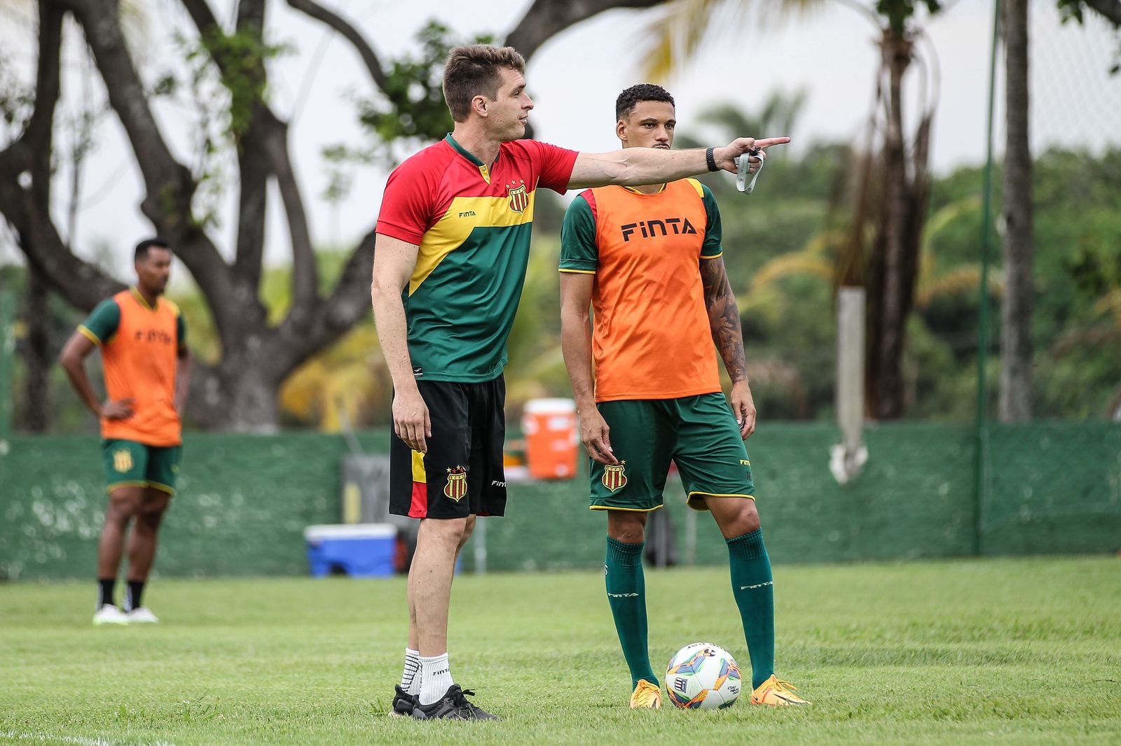 Tricolor preparado