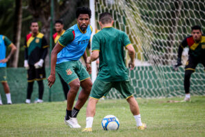 Tricolor ajustado