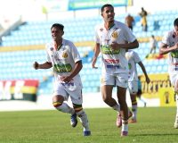 Classificacao