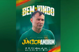 Sem título (19)